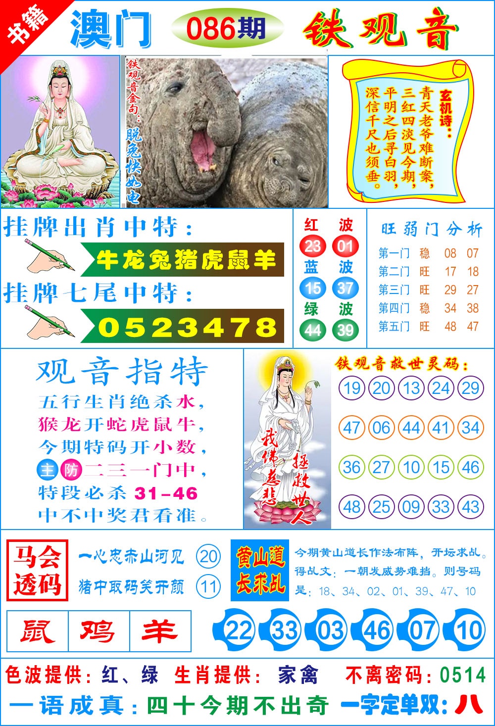 086期澳门铁观音[图]